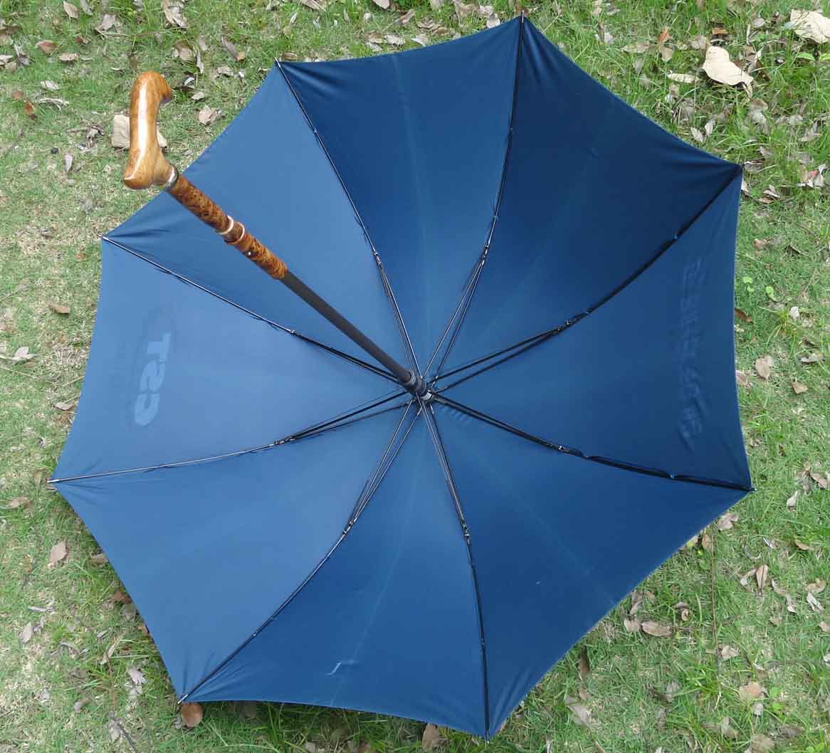 Special umbrella-SP020b