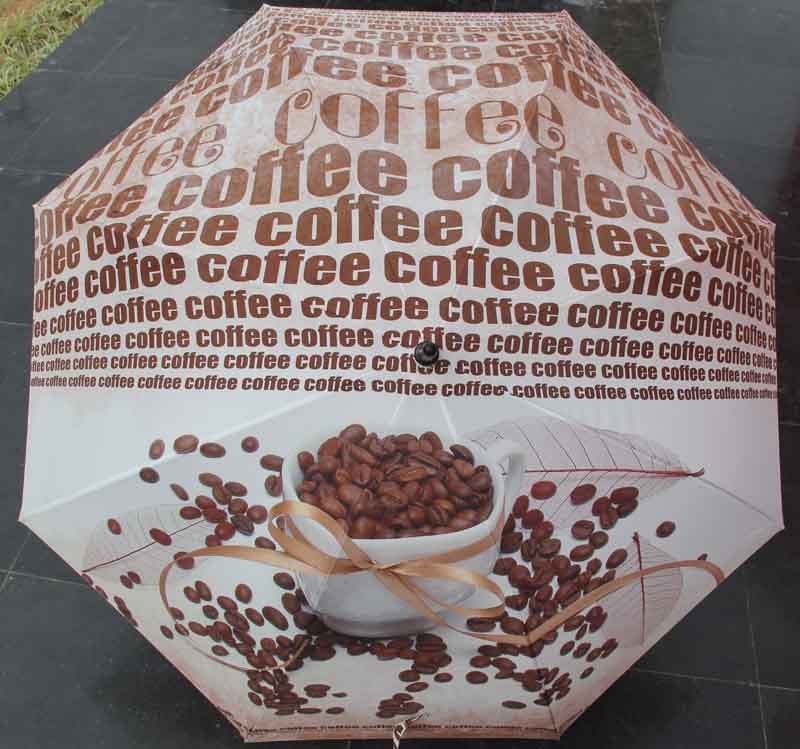 Digital print umbrella-DP002b