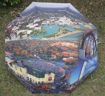 Digital print umbrella-DP006b