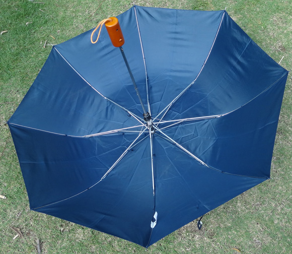 2-section umbrella-F2U010b