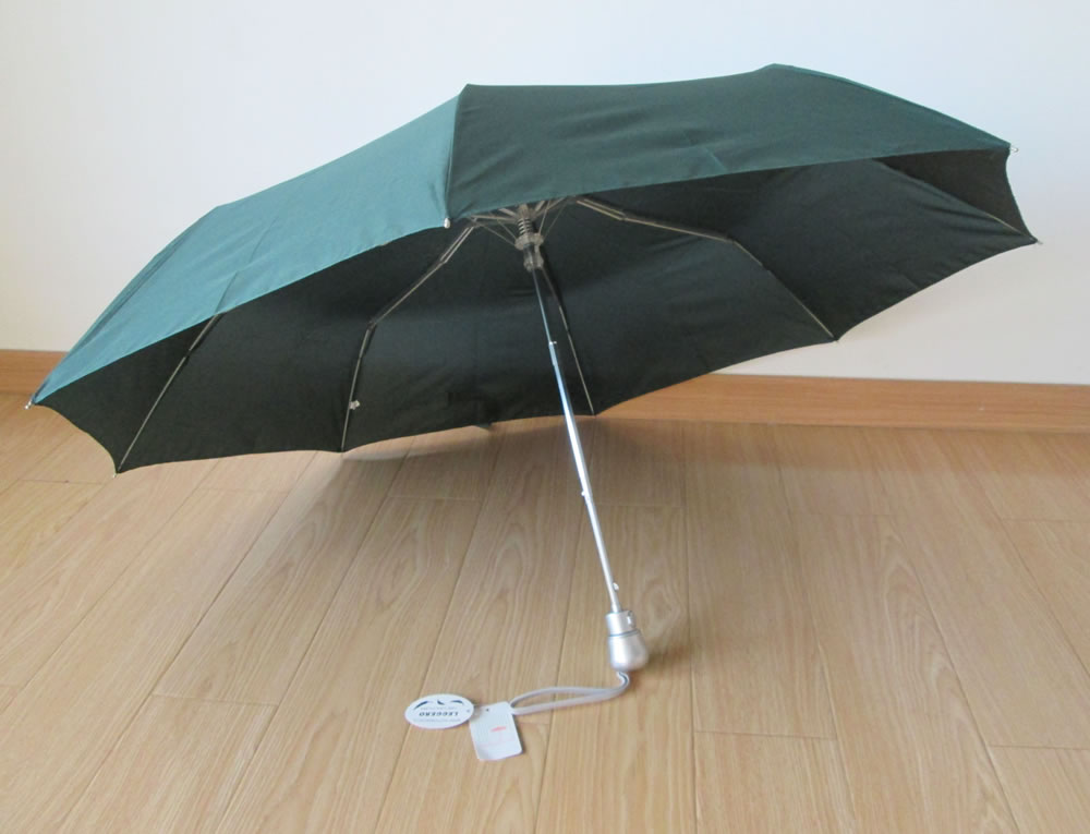 3-section umbrella-F3AO004