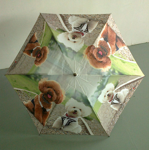 3-section umbrella-F3U032b
