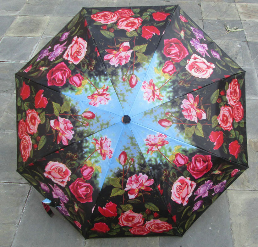 Heat transfer print umbrella-HTU003b