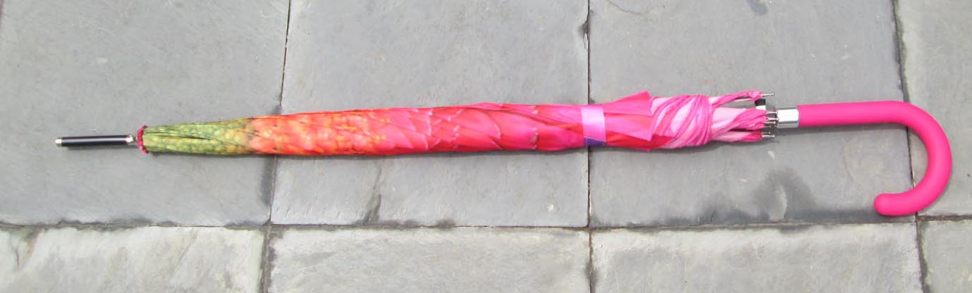 Heat transfer print umbrella-HTU017a