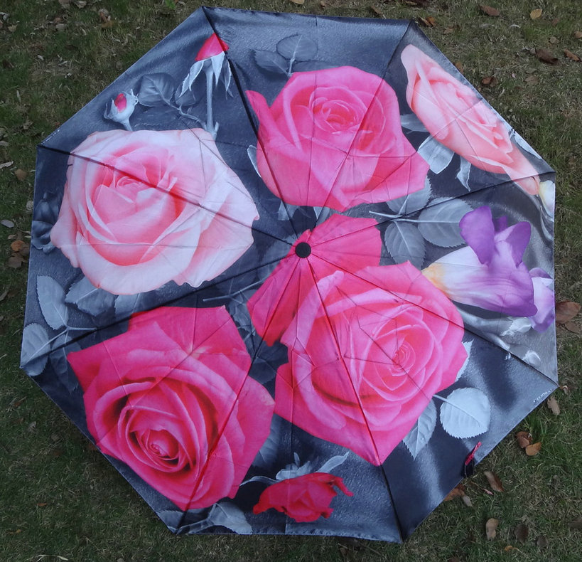 Heat transfer print umbrella-HTU019b