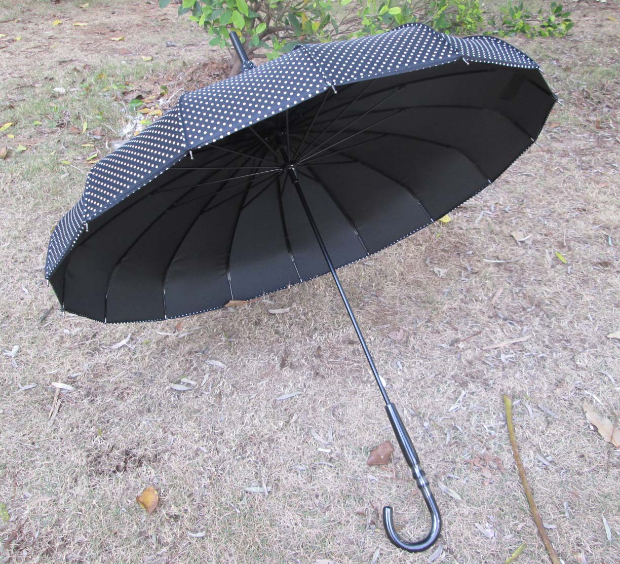 New items-NU010