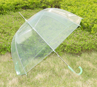 EVA&POE umbrella-PU005