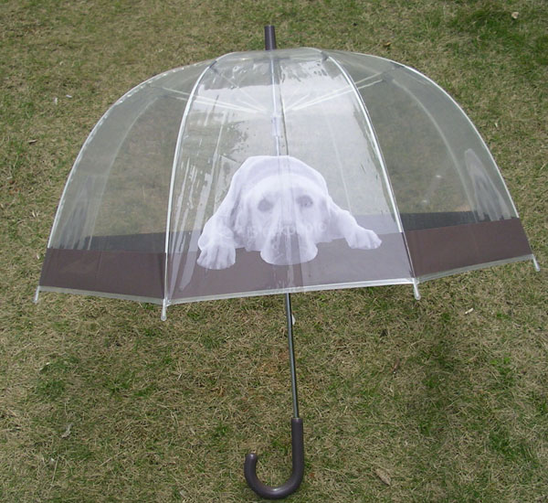 EVA&POE umbrella-PU020