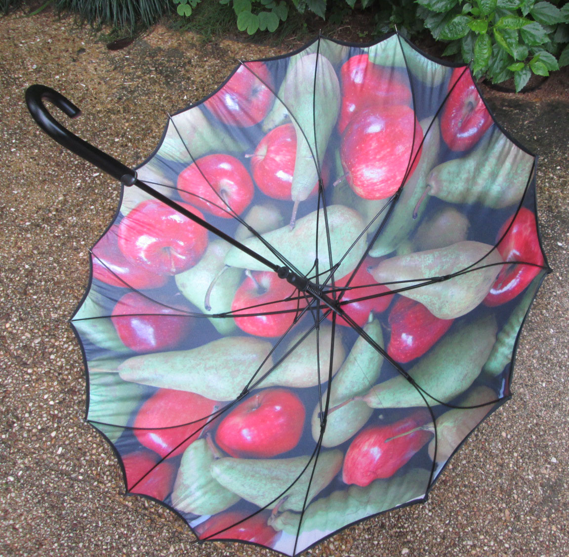 Seamless umbrella-RBOC001