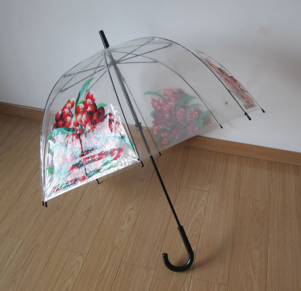 EVA&POE umbrella-RBPOE006