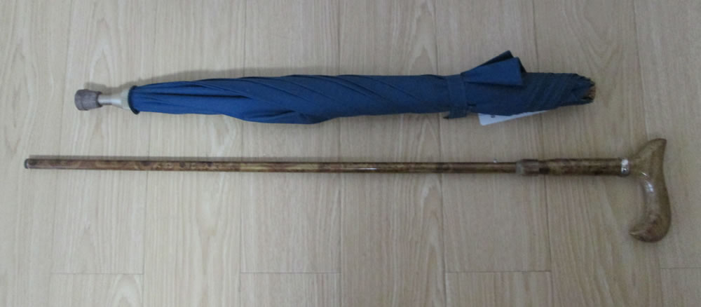 Special umbrella-RBSPU010