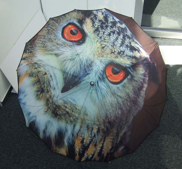 Special umbrella-SP008a