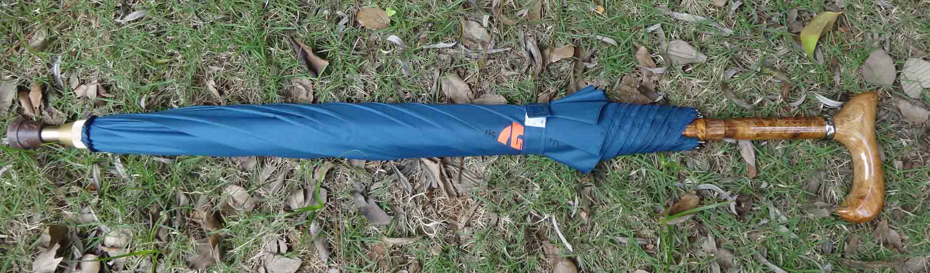 Special umbrella-SP020a