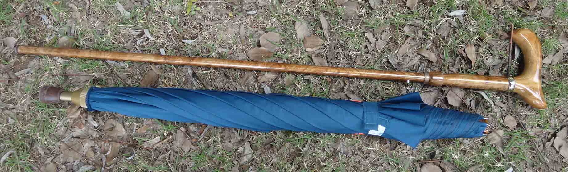 Special umbrella-SP020c