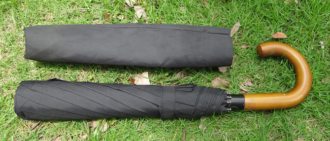 Special umbrella-SP022a