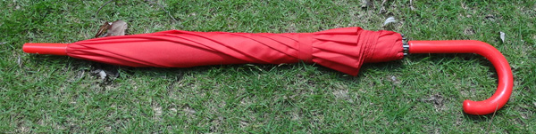 Special umbrella-SP027a